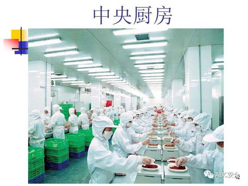 食品安全法與餐飲服務 筑牢健康防線，守護“舌尖上的安全”